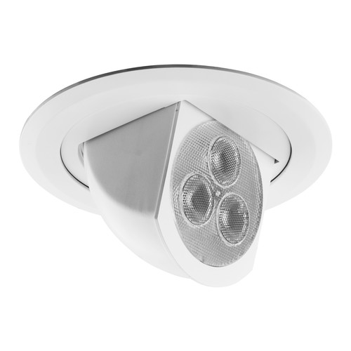 LED Scoop Downlight 12W White