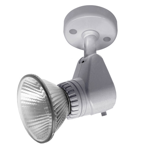 Universal Surface Spot 240V 100W Silver
