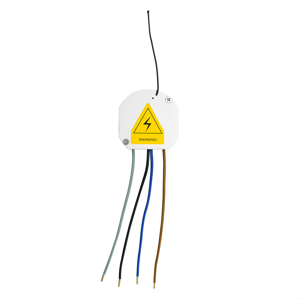 Wise Volt Free Receiver 1 Channel 3000W