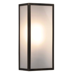Messina II Frosted 160 Outdoor Garden Wall Light 240V 12W Bronze