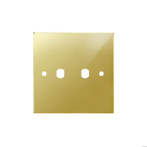 WiseRetro Module Plate Polished Brass 2 Gang