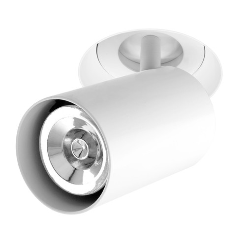 Trimless Connect Fire-Rated Adjustable Downlight Spotlight 240V White 50W