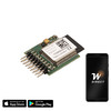 Wise-Wifi Direct Smart Timeclock