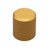 Retro Dimmer Knob Brass