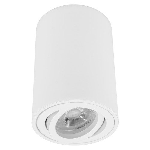 Rock Tube Spot Surface Downlight Adjustable 240V 50W White