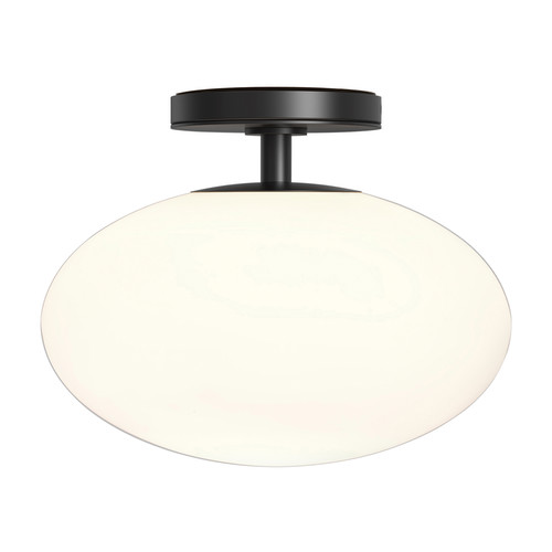 Zeppo Bathroom Flush Ceiling Light 240V Matt Black 60W
