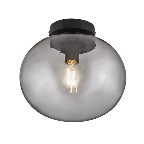 Alton 20 Flush Mount Ceiling Light 240V Black 25W