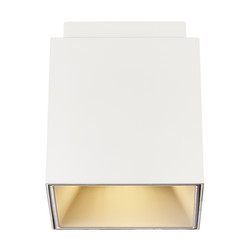 Ethan 1-Spot Surface Mounted Downlight 10W White