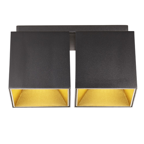 Ethan 2-Spot Surface Mounted Downlight 2x10W Matt Black