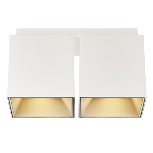 Ethan 2-Spot Surface Mounted Downlight 2x10W White