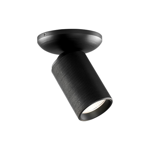 Raw Tube Adjustable Spotlight Carbon Black 3000K Warm White