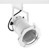 PAR30 Theatre Single Circuit Track Light 240V 100W White