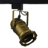 PAR30 Theatre Single Circuit Track Light 240V 100W Bronze
