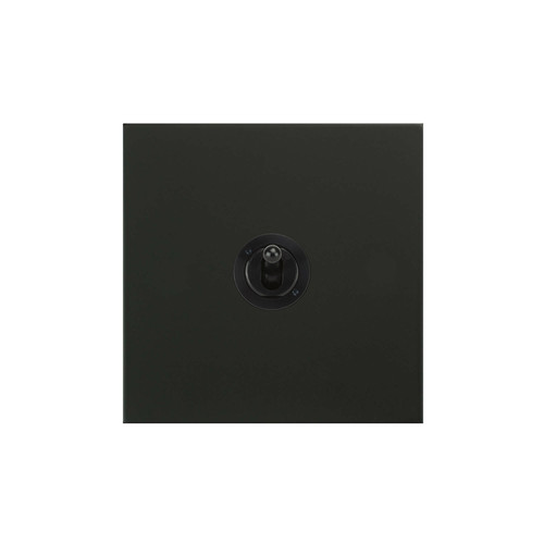 Horizon Square Dolly Switch 1 gang 20 amp 2 way Matt Black