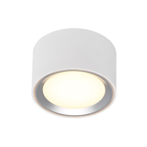 Fallon LED Surface Mounted Downlight 5.5W 2700K Warm White White and Steel