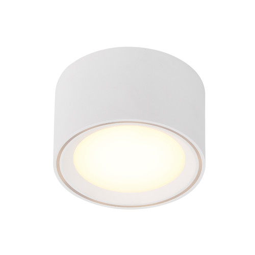 Fallon LED Surface Mounted Downlight 5.5W 2700K Warm White White