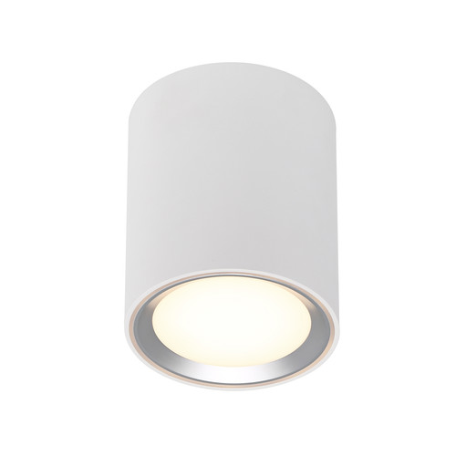 Fallon Long LED Surface Mounted Downlight 5.5W 2700K Warm White White and Steel