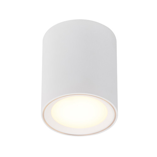 Fallon Long LED Surface Mounted Downlight 5.5W 2700K Warm White White