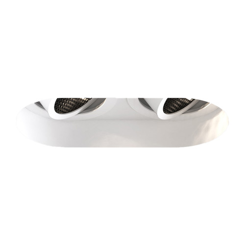 Trimless Round Twin Adjustable Downlight Matt White 2x6W