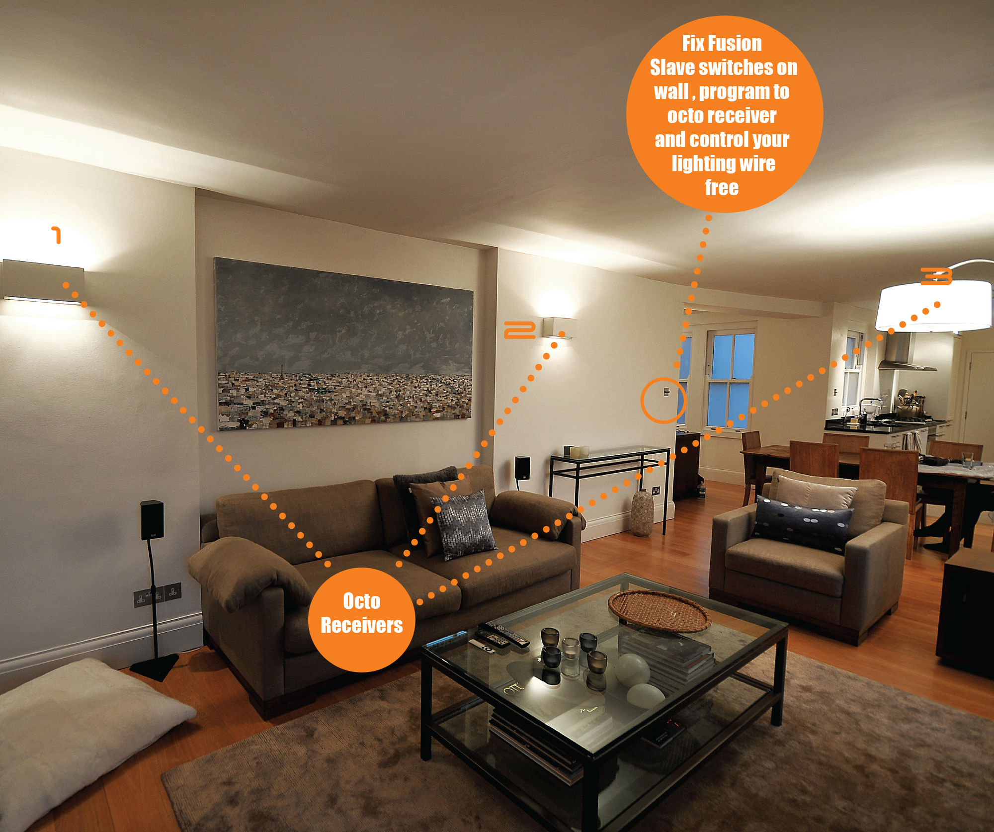 Wise Octo Scene/Leading & Trailing Edge Dimming Receiver 240V 250W Mr