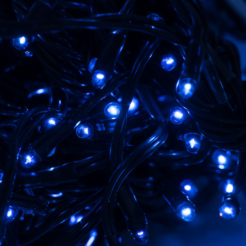 Add-on Twinkle Light 5m (With Controller), 180 4mm Lights, Outdoor/Indoor, 24V Blue Green Cable