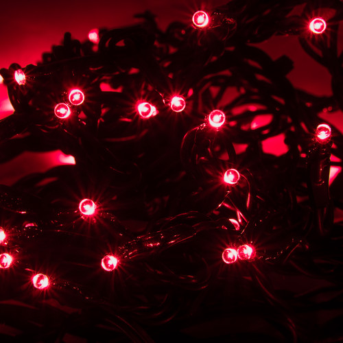 Add-on Twinkle Light 5m (With Controller), 180 4mm Lights, Outdoor/Indoor, 24V Red Green Cable