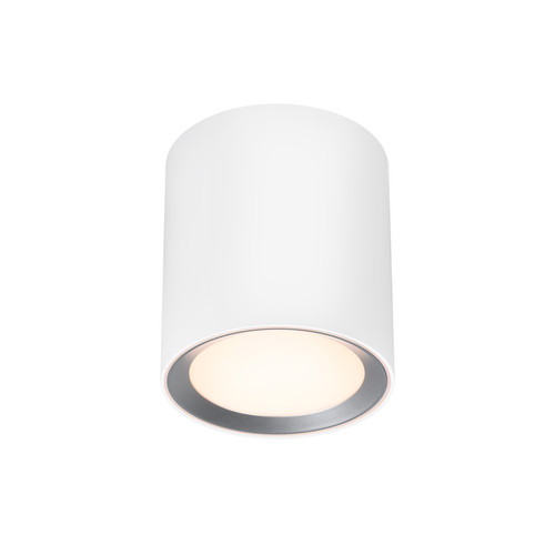 Landon 14 Bathroom Surface Downlight White 6.5W