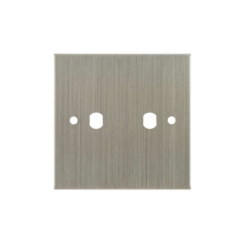 WiseRetro Module Plate Satin Nickel 2 Gang
