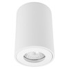 Rock Tube Spot Surface Downlight IP55 240V 50W White