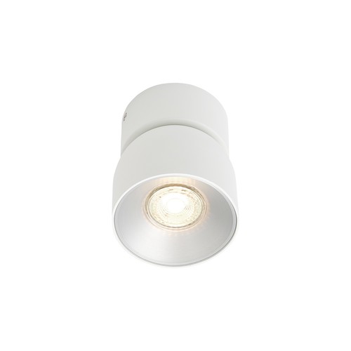 Pitcher Spot Ceiling Light White 10W