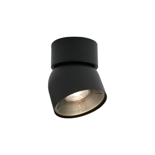 Pitcher Spot Ceiling Light Black 10W
