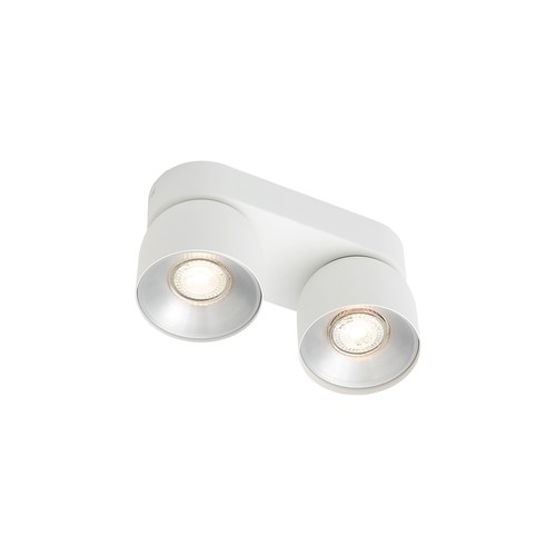 Pitcher Spot Ceiling Light White 2x10W