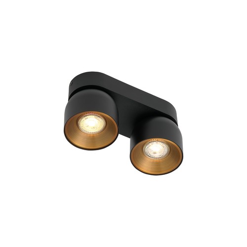 Pitcher Spot Ceiling Light Black 2x10W
