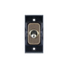 Screwless Toggle Switch Module 1 gang 2 way intermediate Antique Brass