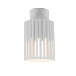 Endurance Coastal Outdoor Surface Mounted Ceiling Light IP65 12W Matt White