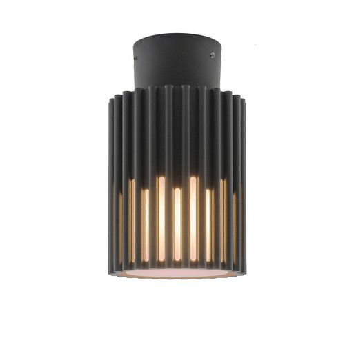 Endurance Coastal Outdoor Surface Mounted Ceiling Light IP65 12W Dark Grey