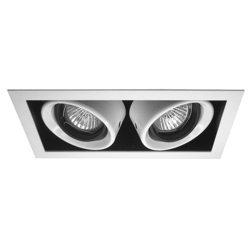 Double Downlighter 12V 2 x 50W White