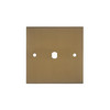 WiseRetro Module Plate Bronze 1 Gang
