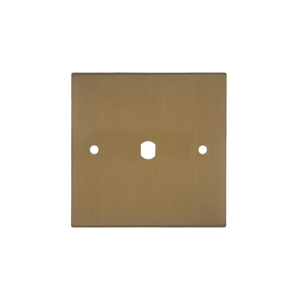 WiseRetro Module Plate Bronze 1 Gang