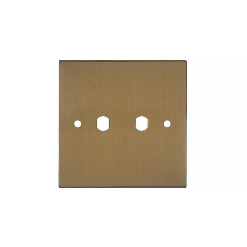 WiseRetro Module Plate Bronze 2 Gang