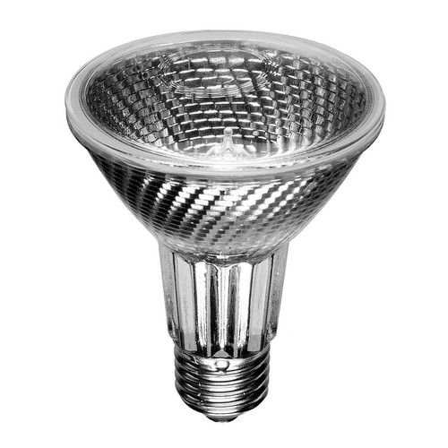 Halogen PAR25 75W 10°