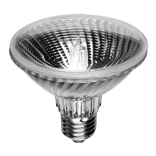 Halogen PAR30 75W 10°