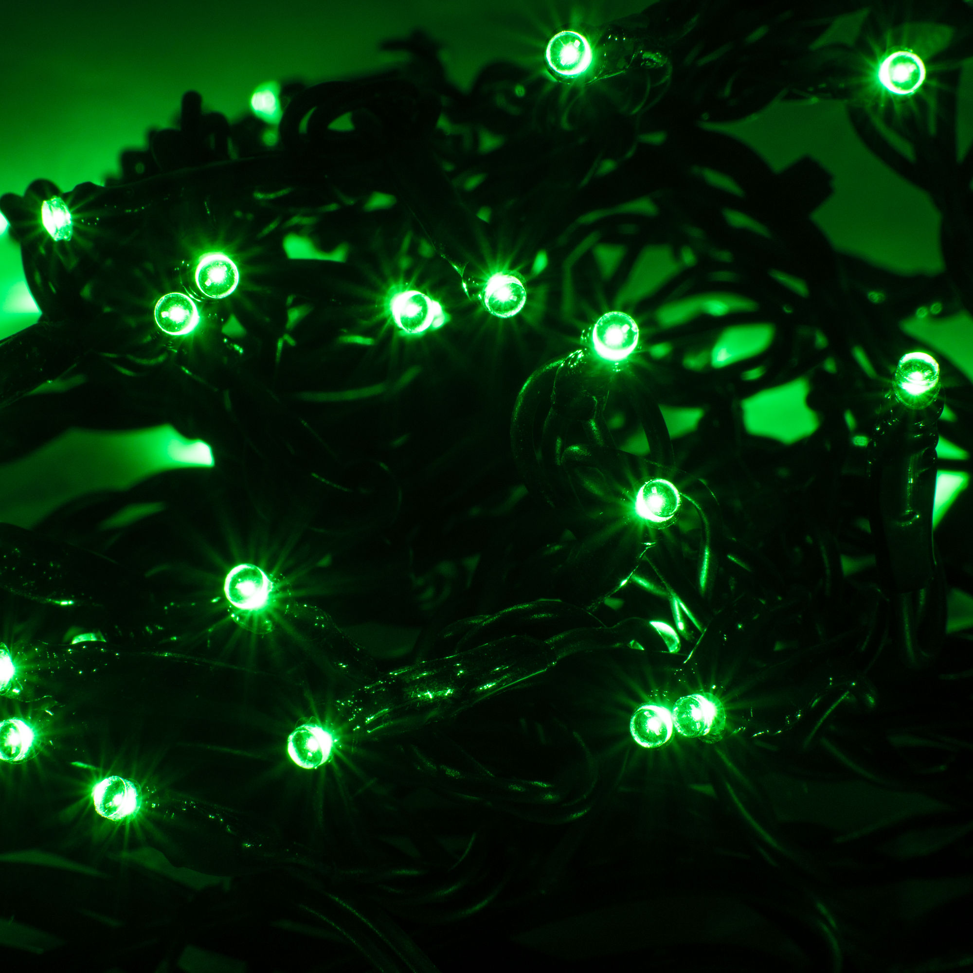 LED Miniature Christmas Lights 6m, 60 4mm Lights, Indoor/Outdoor, 24V