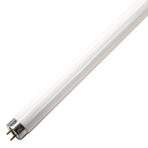 Fluorescent T8 36W Lamp 6000K Daylight