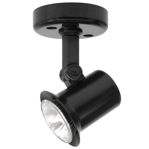 PAR16 Spot 240V 50W Black