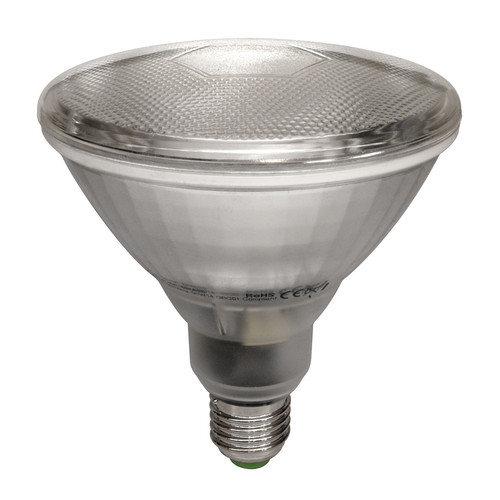 CFL PAR38 20W (=100W) 110°