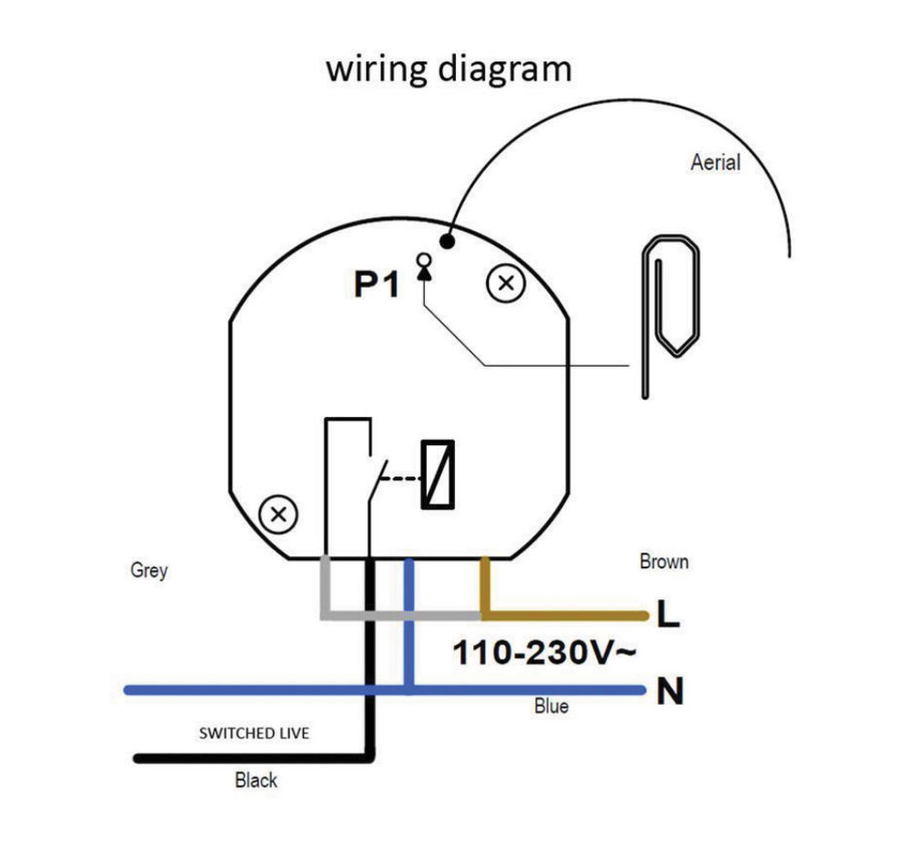 Wise Volt Free Receiver 1 Channel