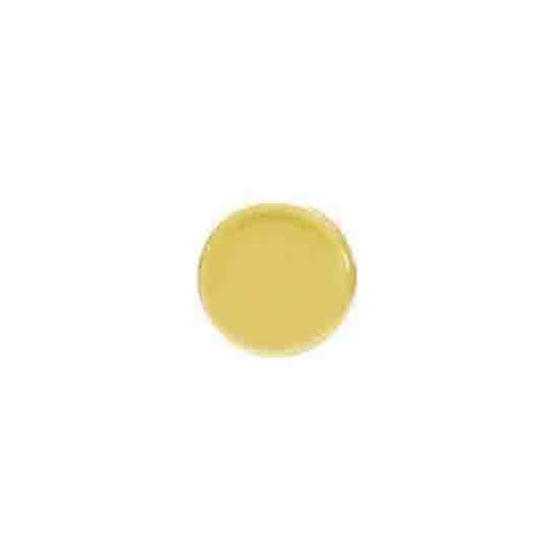 Horizon Square 4mm Dimmer Cap 4mm Dimmer Switch Cap Polished Brass
