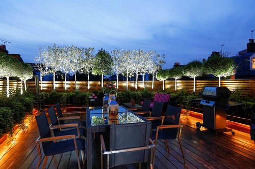 Uplighting trees with LED spike lights
