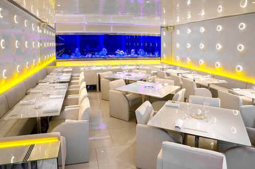 Circular wall lights in restaurant area